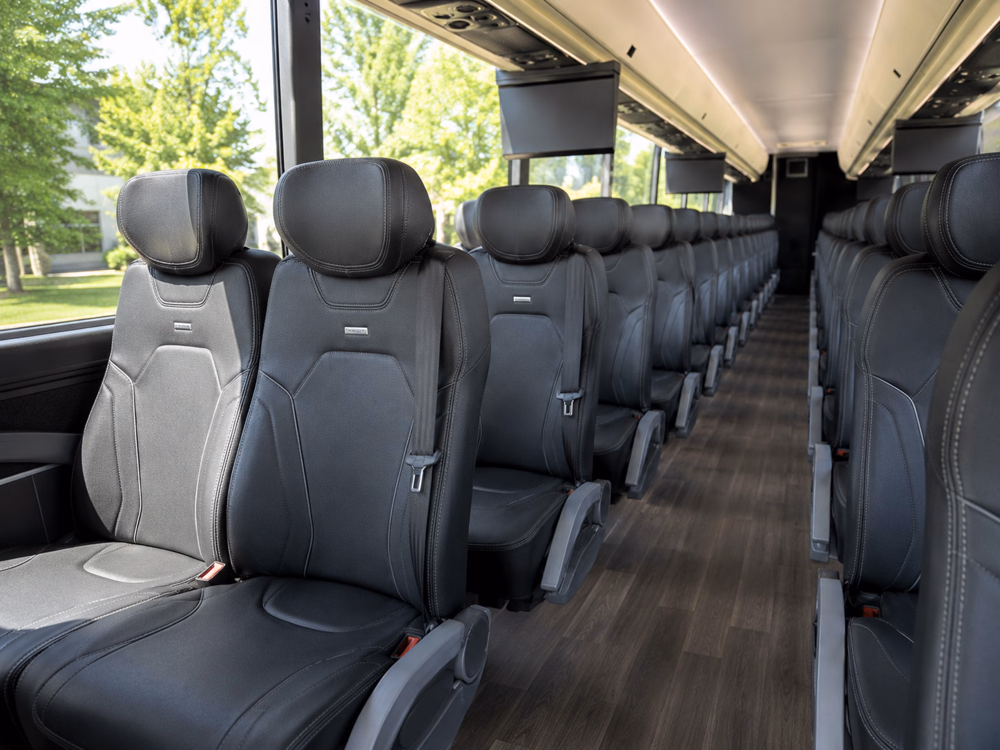 san antonio charter bus tours to san antonio missions national historical park and carlsbad caverns national park